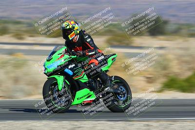 media/Jan-13-2024-SoCal Trackdays (Sat) [[9c032fe5aa]]/Turn 14 (10am)/
